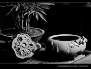 紫砂壶图片：全手文房水洗 香炉 雅趣十足 优质本绿 - 美壶网