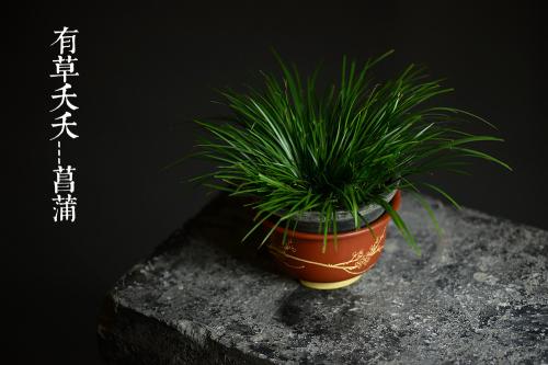 朱牧清紫砂壶 精工佳作 段泥粉朱泥浆 花草四雅之菖蒲花盆 原矿段泥