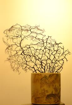 张听钢紫砂壶 古法装饰 古灵静雅 山水大笔筒 不接受定做o(∩_∩)o  