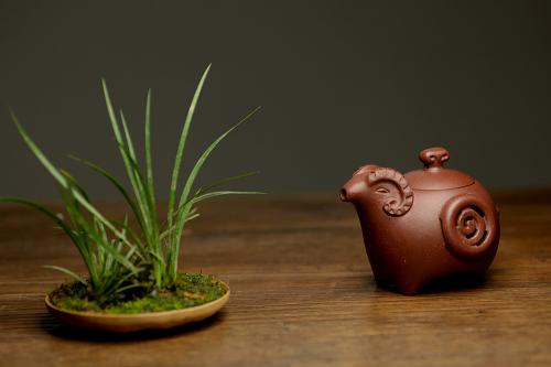 美壶定制紫砂壶 美壶特惠之吉羊 喜气洋洋 有趣实用  原矿清水泥