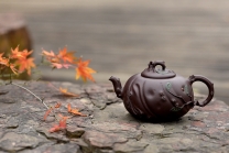 紫砂壶图片：灵秀俊美 自然清趣 玉露 典雅大气 原创作品孙伟强张新亚合作 - 美壶网