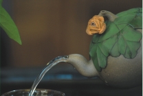 紫砂壶图片：一枝独秀 - 美壶网