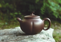 紫砂壶图片：金瓜 - 美壶网