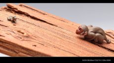 紫砂壶图片：美猴戏蛙镇纸 / 香插  美猴已经长大了~~美猴戏蛙镇纸 / 香插  - 美壶网