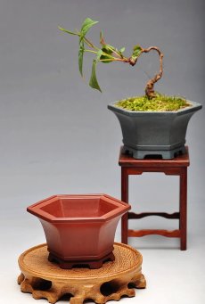 紫砂壶图片：全手镶片 六方葵式 微型花盆 案头赏玩 雅致 - 美壶网