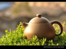 紫砂壶图片：古朴神韵 清雅圆融 全手老味文旦 尹君峰新作 - 美壶网