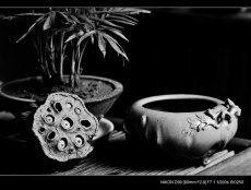 紫砂壶图片：全手文房水洗 香炉 雅趣十足 优质本绿 - 美壶网