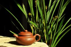 紫砂壶图片：婉约秀气 一捺底   仿古 座有兰言 - 美壶网