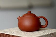 紫砂壶图片：美壶特惠 圆润饱满 实用小品 文旦 - 美壶网