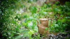 紫砂壶图片：林秀明丙申夏全手原创 摹竹韵寓隐逸之风  隐逸 养怡之福可得永年 - 美壶网