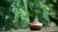 紫砂壶图片：实力派潘丹初丙申夏 优质紫泥  国画入壶 秀雅文气 全手原创福竹o(∩_∩)o - 美壶网