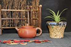 紫砂壶图片：六方灵犀 - 美壶网