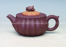 紫砂壶图片：蜂菊 - 美壶网