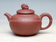 紫砂壶图片：狮球 - 美壶网