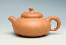 紫砂壶图片：金瓜 - 美壶网