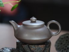 紫砂壶图片：飞鸽 - 美壶网