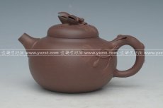 紫砂壶图片：开心果 - 美壶网