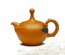 紫砂壶图片：生命之泉 - 美壶网