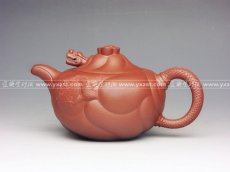 紫砂壶图片：鱼化龙 - 美壶网