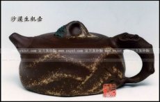 紫砂壶图片：沙漠生机壶 - 美壶网