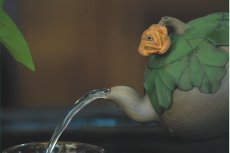 紫砂壶图片：一枝独秀 - 美壶网