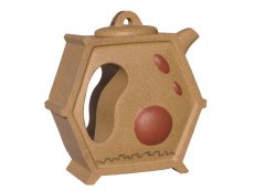 紫砂壶图片：植物细胞壶 - 美壶网