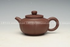 紫砂壶图片：菊顶 - 美壶网